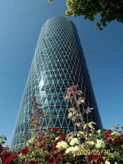 20090530_00