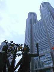 20080607_01