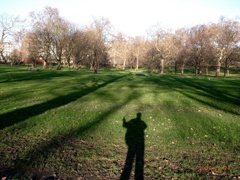 20081226_06