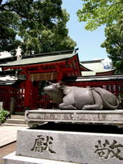 20090519_00