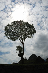 20080805_02