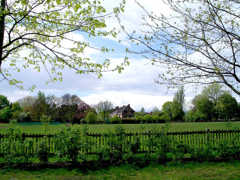 20080501_00
