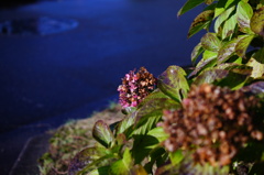 DSC05371