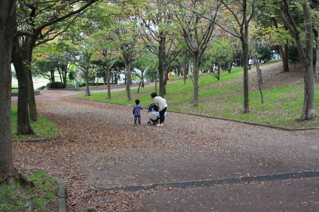 お散歩