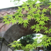 水路閣
