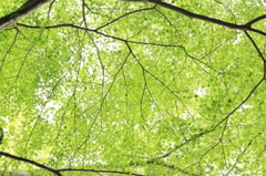 notitle