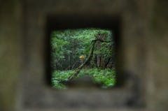 notitle