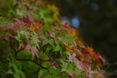 notitle