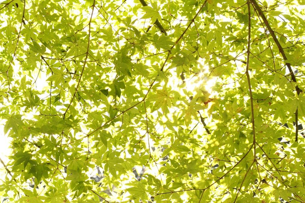 notitle