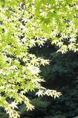 notitle