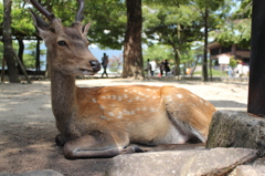 notitle