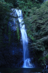 notitle