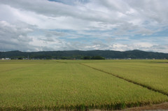 東光寺の田園風景