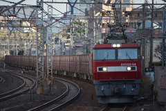 久々のヒガジュー