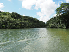 wailua river