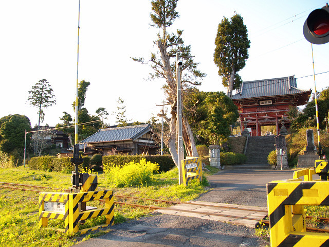 見守る