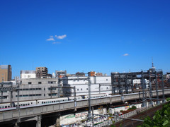 お散歩