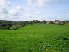 コッツウォルズの草原