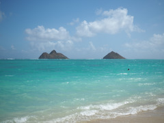 ＬＡＮＩＫＡＩ