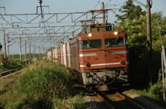 ＥＦ８１－１９