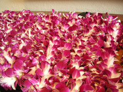lei