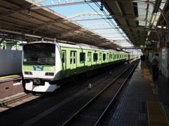 緑