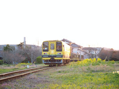 夕陽をあびながら