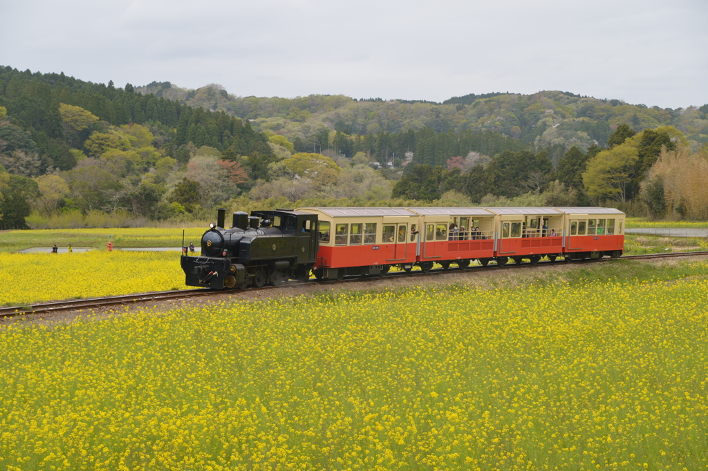 小湊鉄道トロッコ