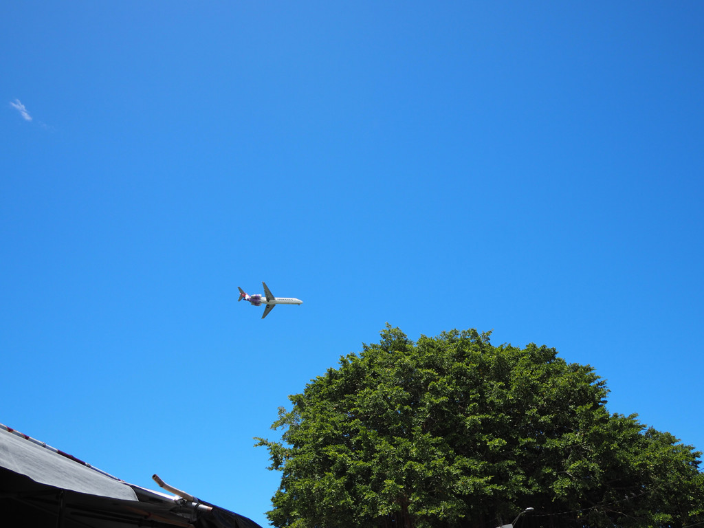 HILOの空に
