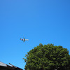 HILOの空に
