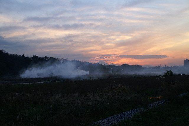 多摩川