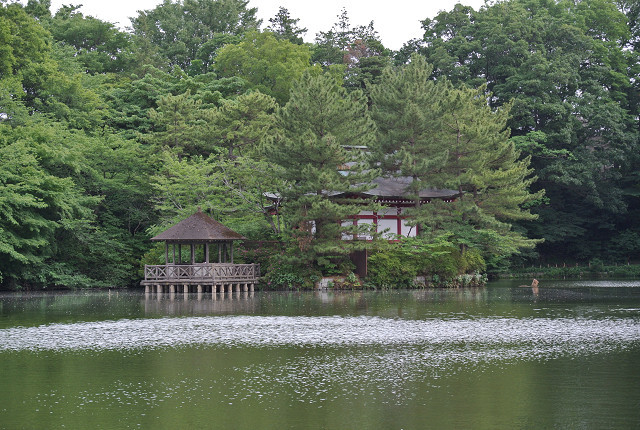 三宝寺池