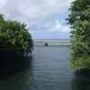 waiakea pond