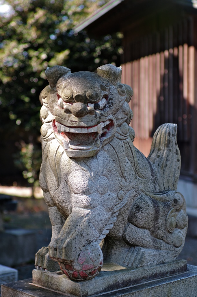 SDIM0491