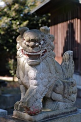 SDIM0491