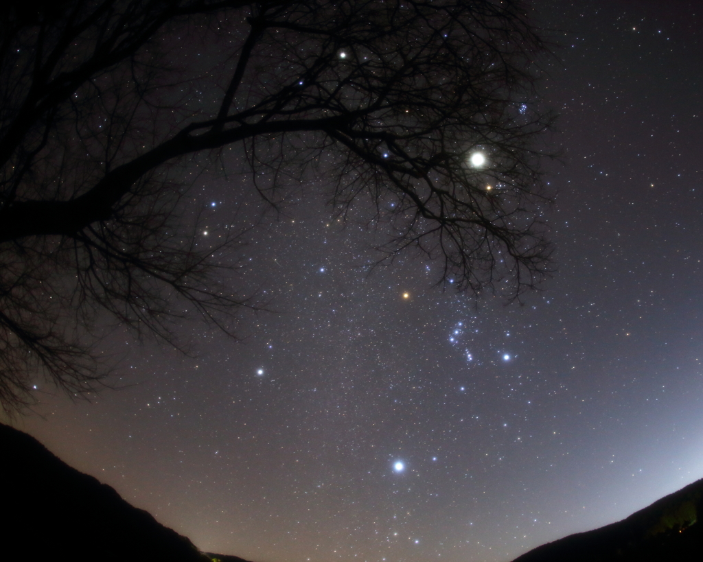 小粒の流星