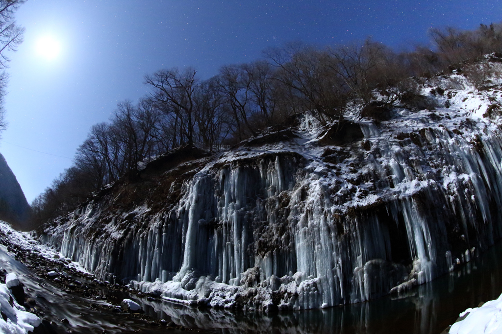月明かりに輝く