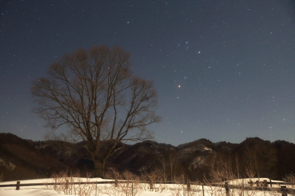 さそり座あがる