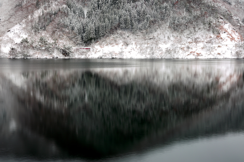 湖面に映る