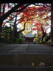 静勝寺の秋