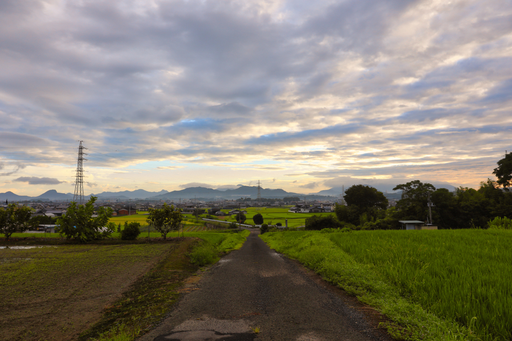 心落ち着く、田舎道