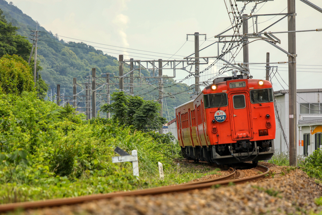 赤い急行列車がゆく