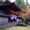 世界遺産「丹生都比売神社」