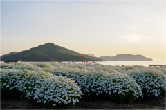 瀬戸内の光景