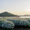 瀬戸内の光景
