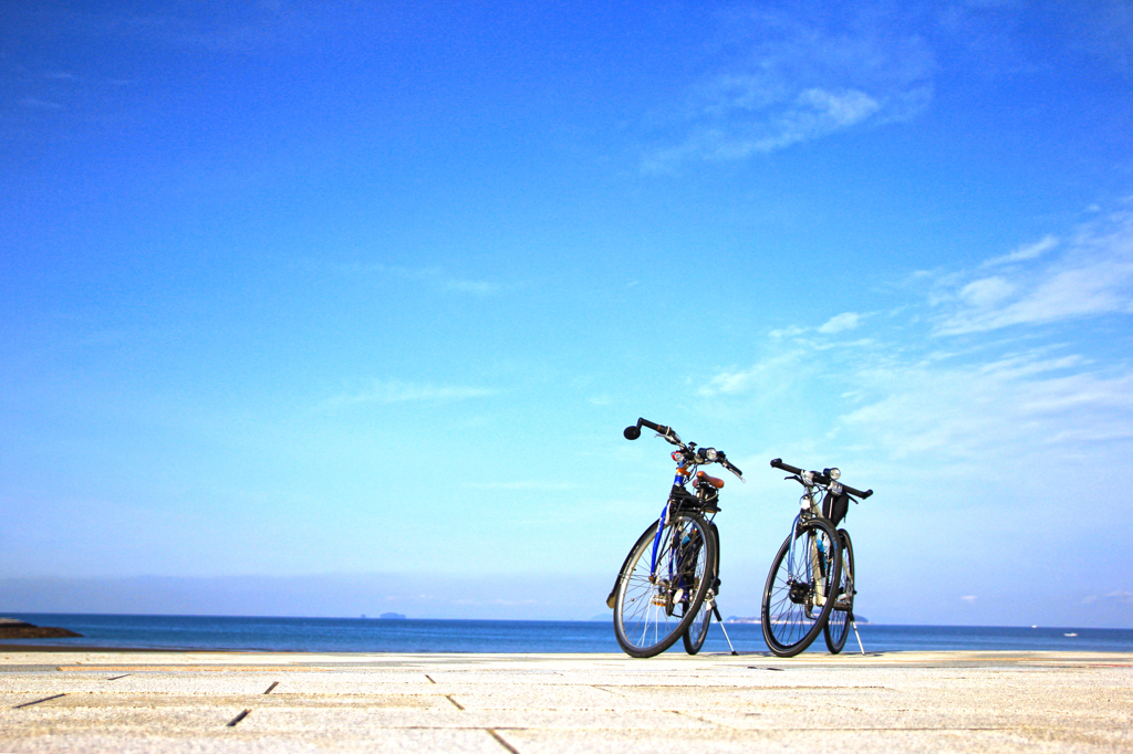 サイクリング日和