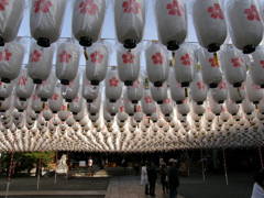 姫路護国神社・新年万燈祭