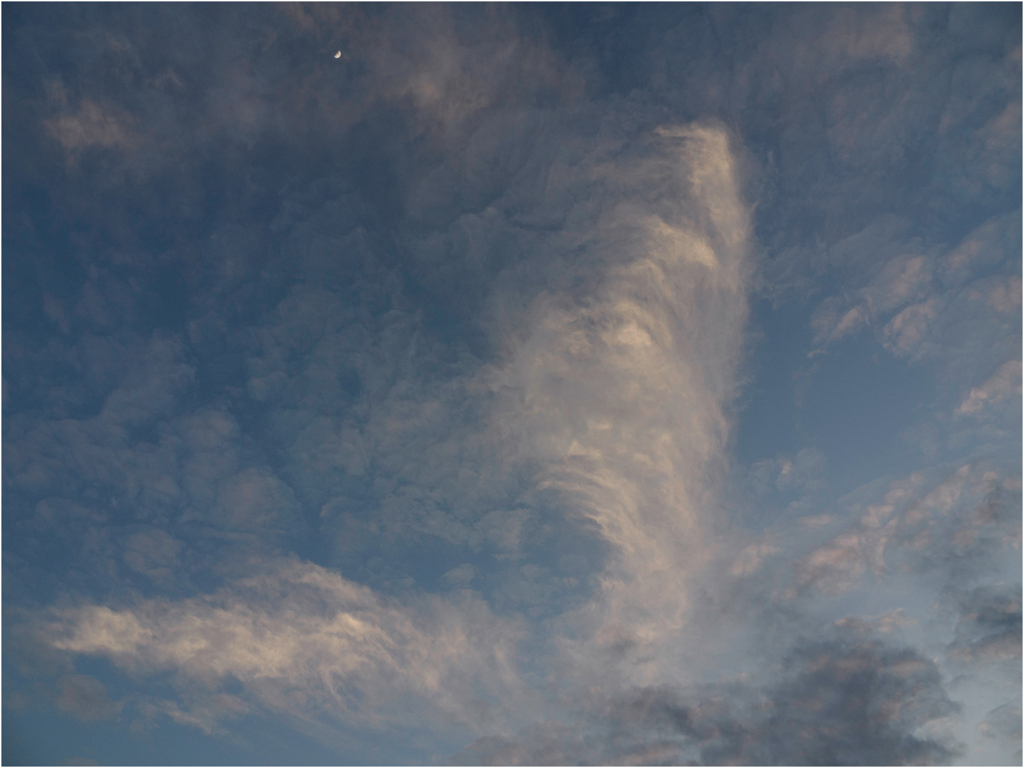 見上げた空に雲と月