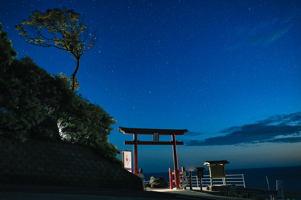 星空に息をのんだ