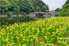 島へとかかる赤い橋